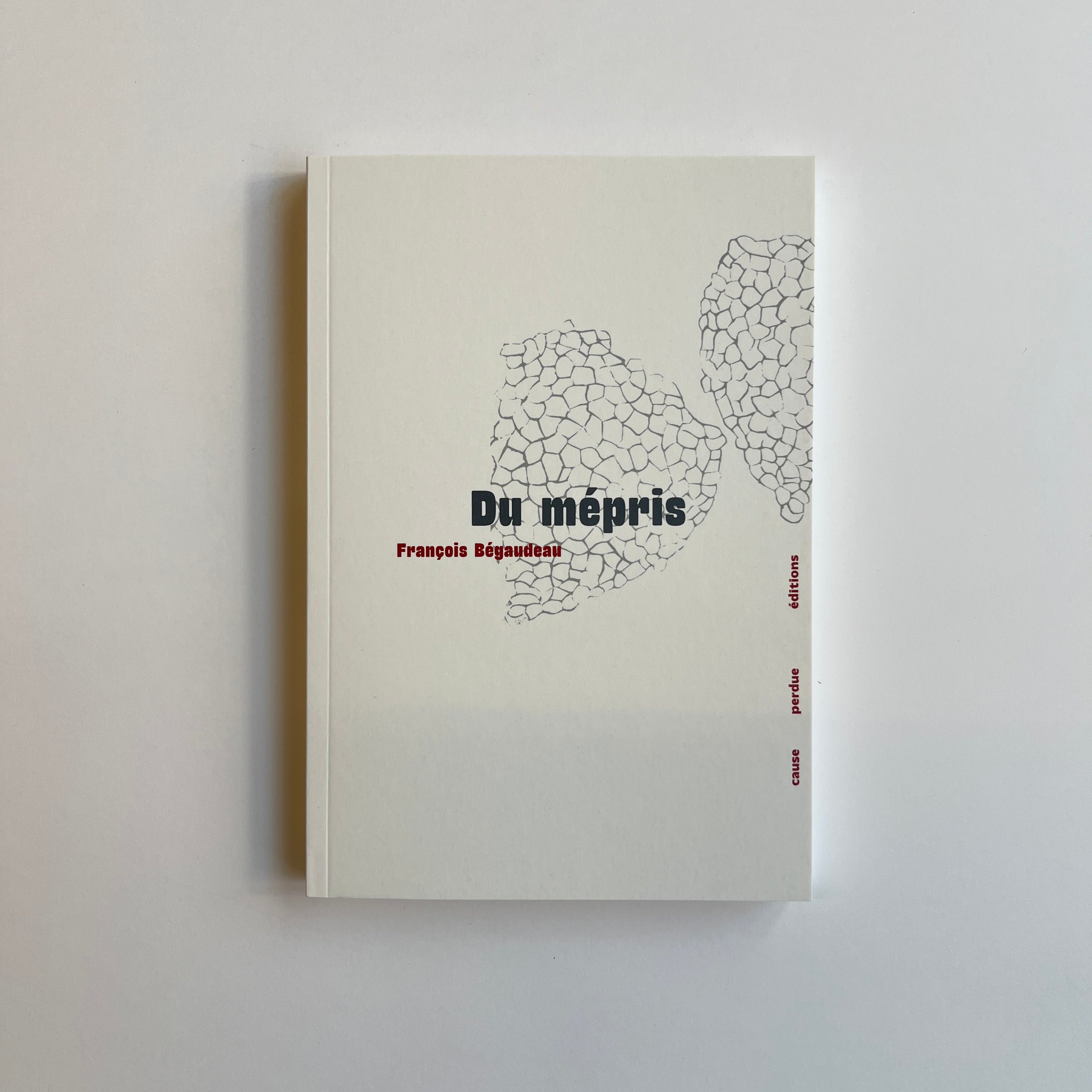 Du mépris - François Bégaudeau