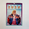 Calendrier 2026 : Columbidae sur corps célestes