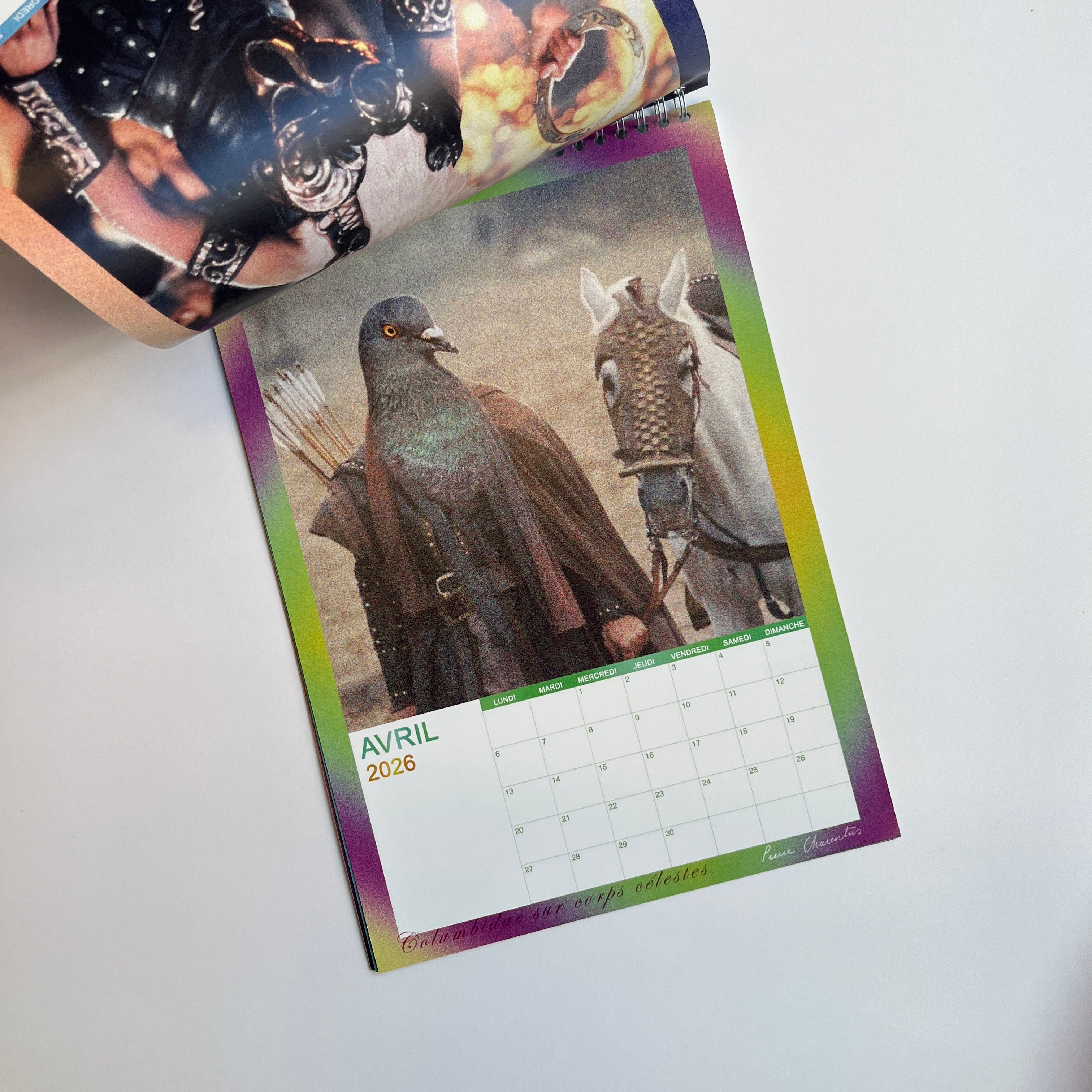 Calendrier 2026 : Columbidae sur corps célestes