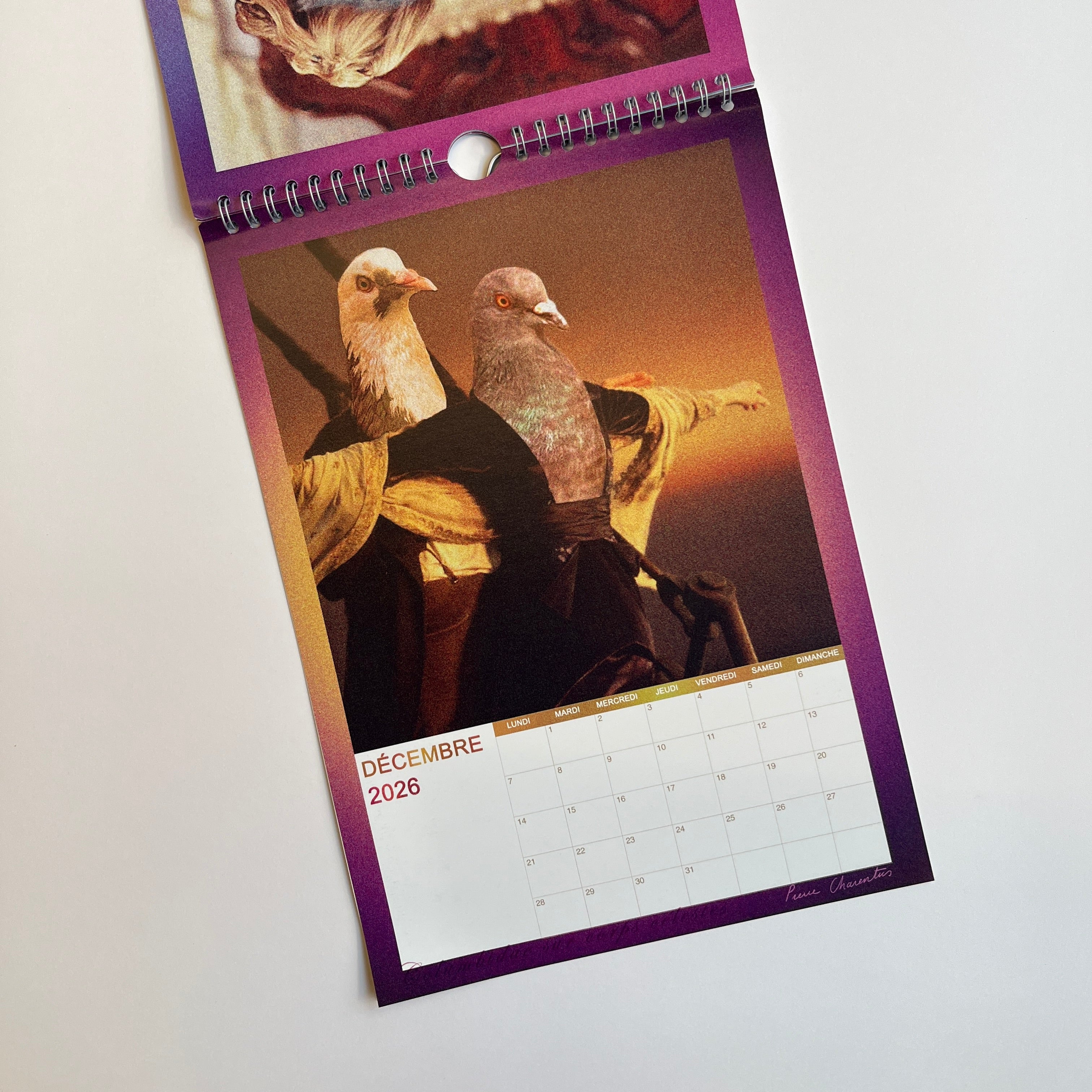 Calendrier 2026 : Columbidae sur corps célestes