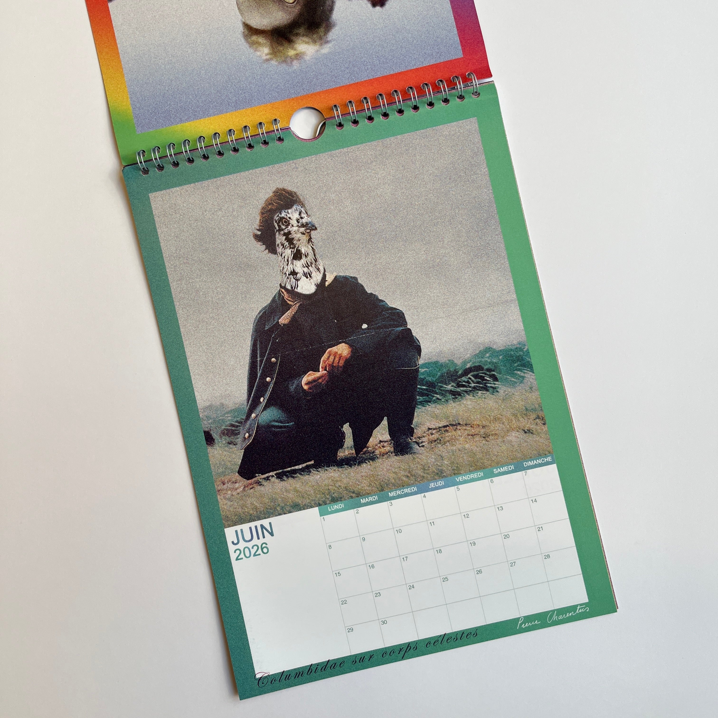 Calendrier 2026 : Columbidae sur corps célestes