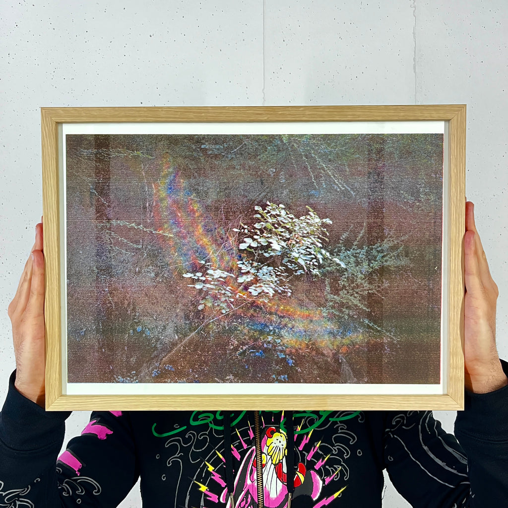 Spectre - Juliette Liautaud
