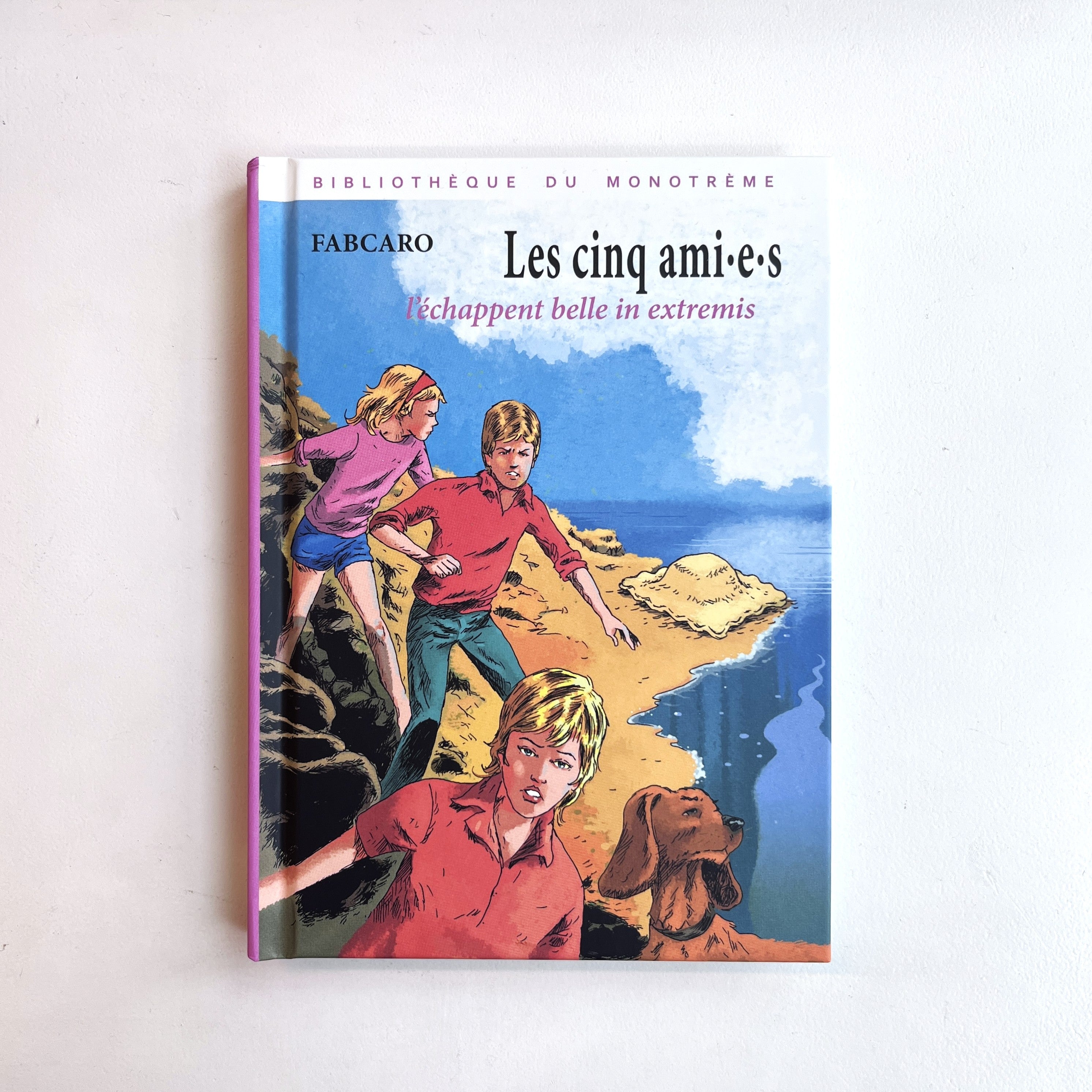 Les cinq ami·e·s l’échappent belle in extremis - Fabcaro
