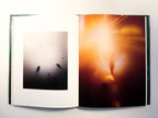 The skeptics, study of an optical phenomena - David de Beyter
