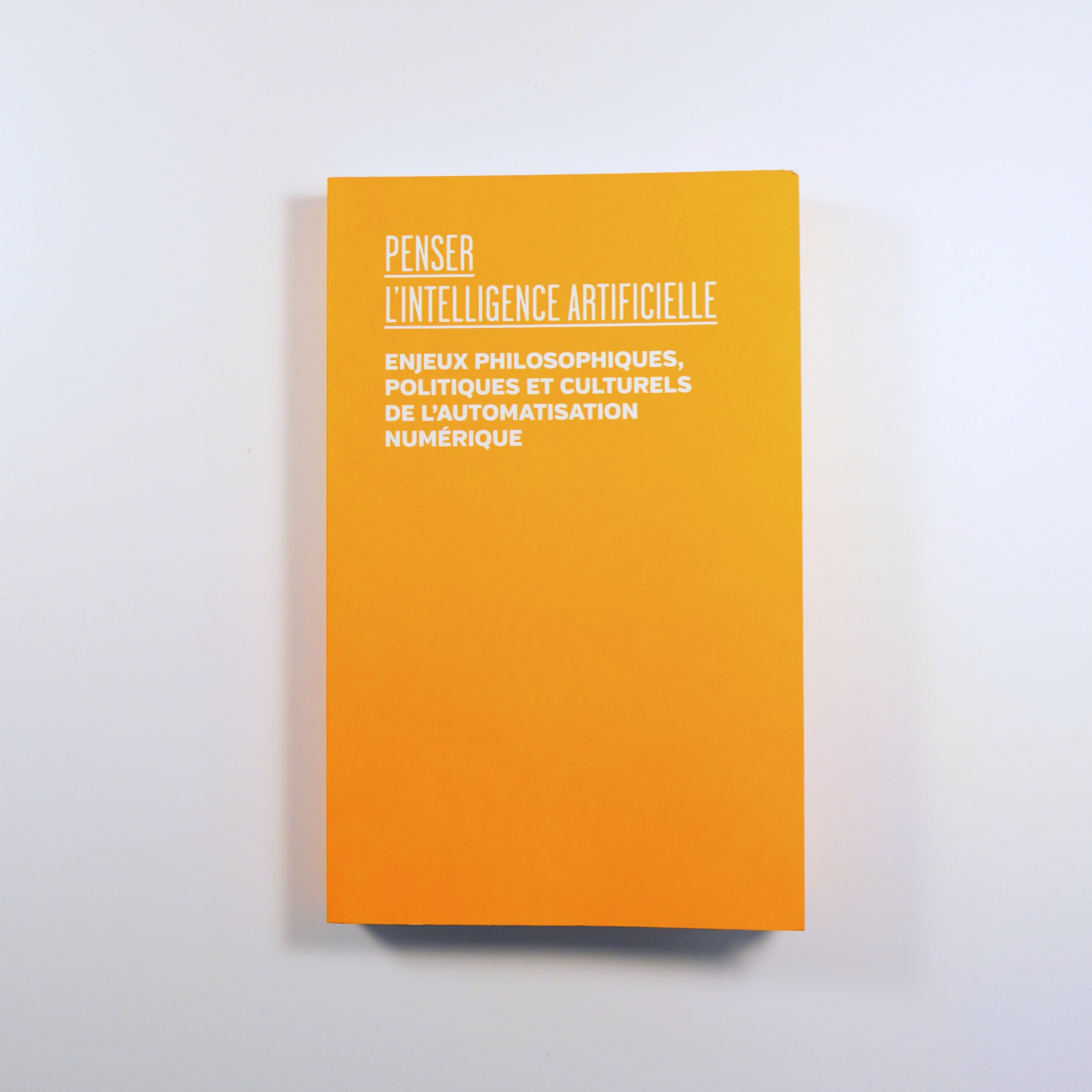 Penser l'intelligence artificielle, enjeux philosophiques, politiques et culturels de l'automatisation numérique - Sous la direction d'Anne Alombert & Alban Leveau-Vallier