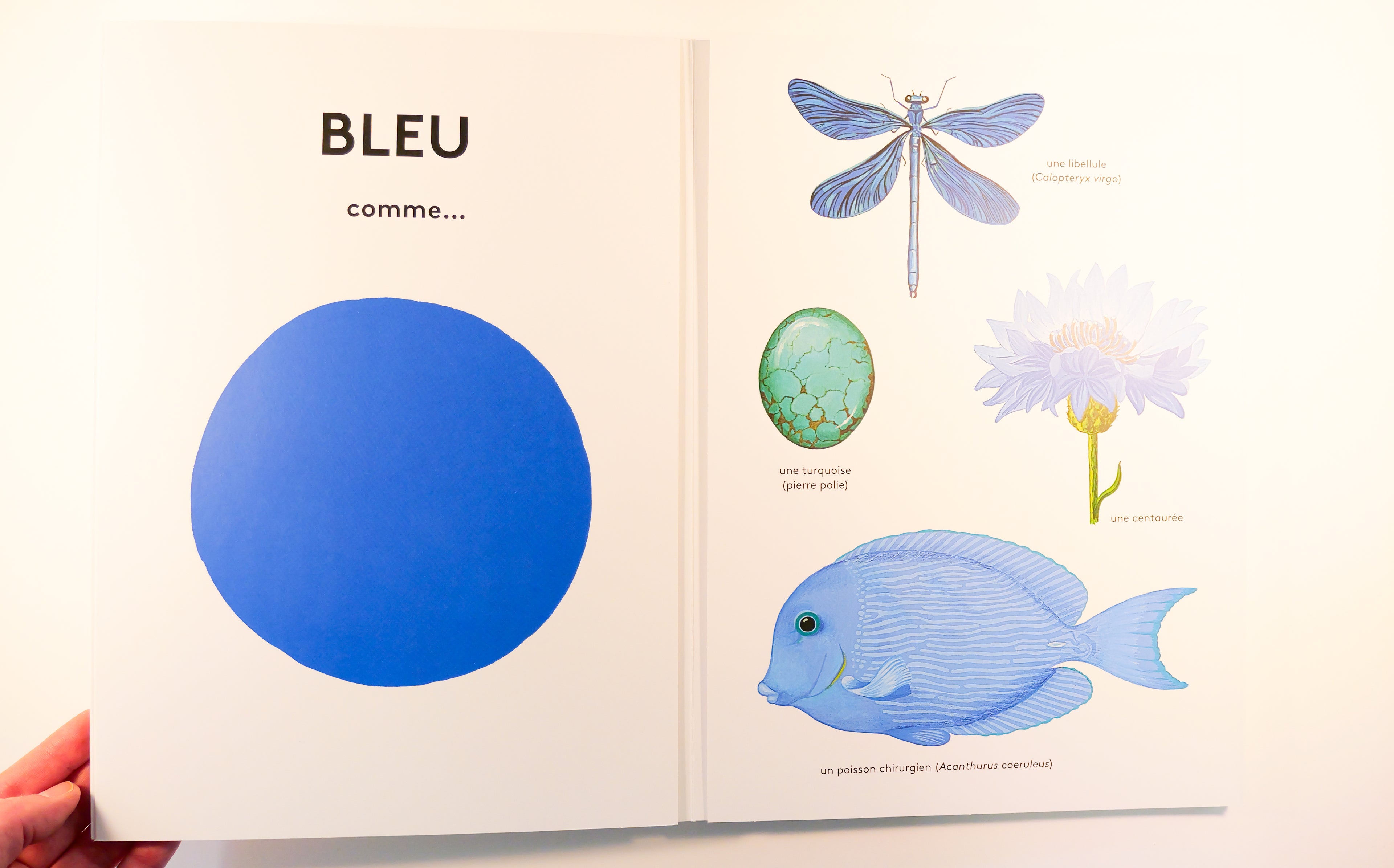L'imagier des couleurs de la nature - Pascale Estellon